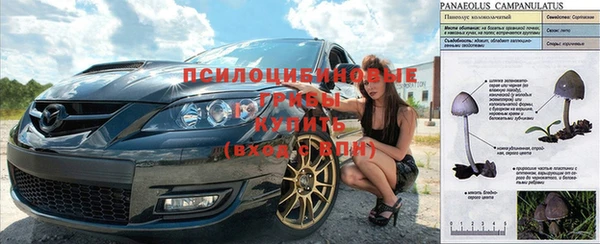 хмурый Абинск