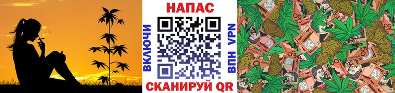 как найти закладки  Харабали  площадка какой сайт  Каннабис Ganja 